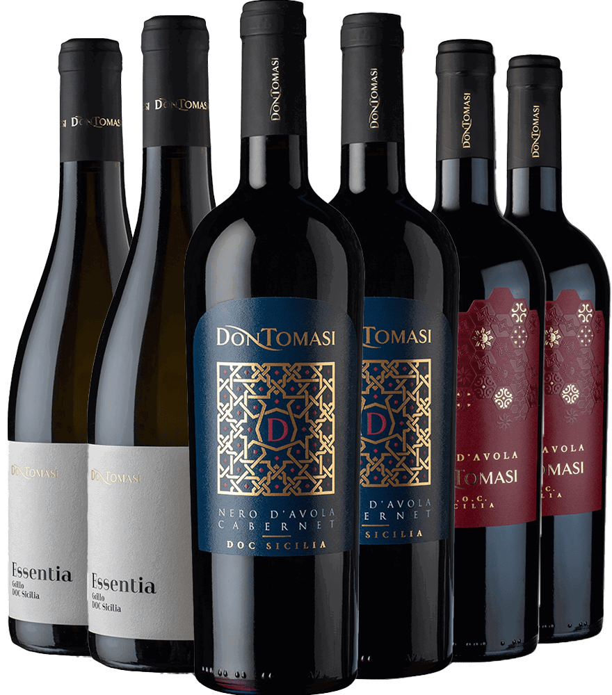  Don Tomasi Kennelern-Paket