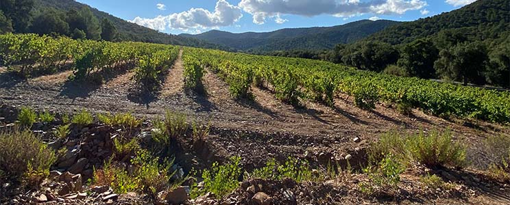 Domaine de la Portaniere