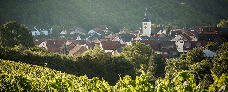 Schmidtburger Hof