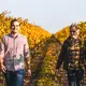 Weingut Helmut Lang