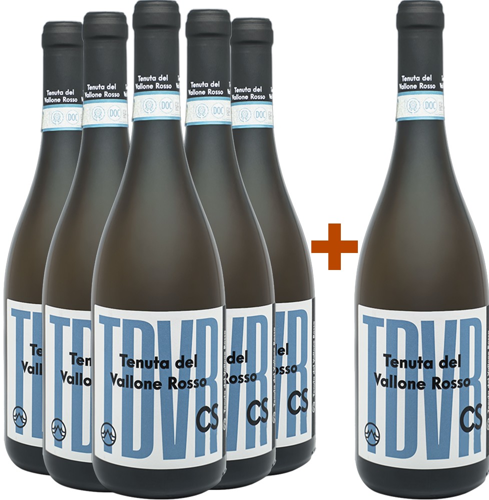 5+1 Paket TDVR CS Carricante