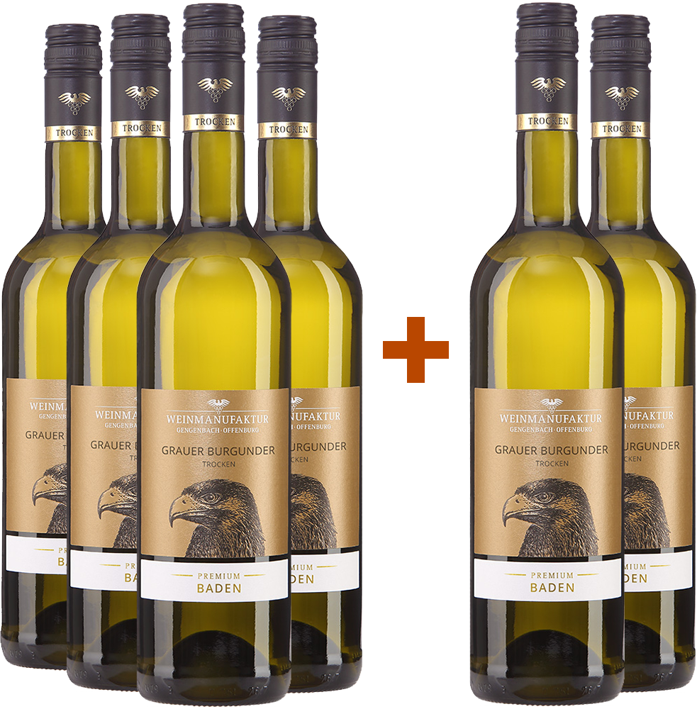 4+2 Paket Premium Grauer Burgunder