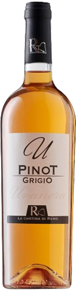2022 Pinot Grigio Terre degli Osci IGP