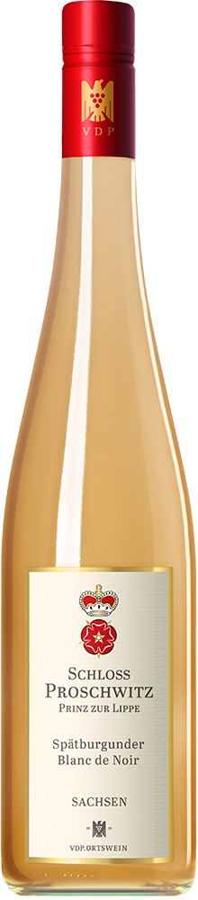 2025 Spätburgunder Blanc de Noir