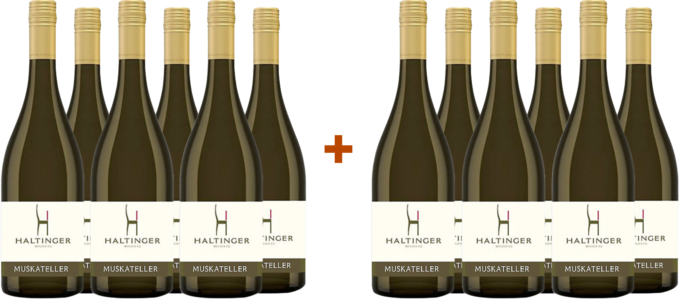 6+6 Paket Merlot trocken