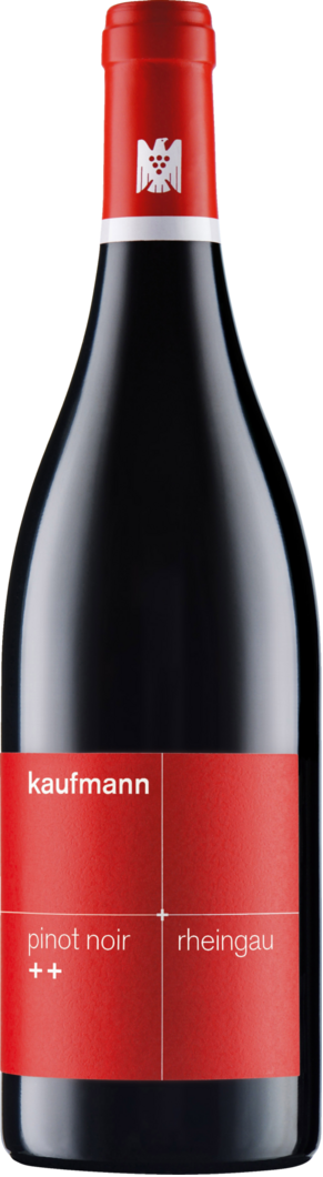 2023 Kaufmann Pinot Noir ++ BIO