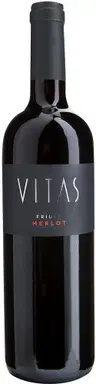 2022 Merlot Friuli DOC