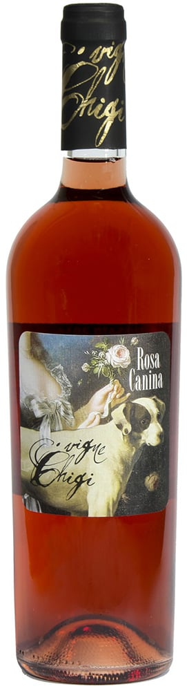 2023 Rosa Canina Roccamonfina IGP