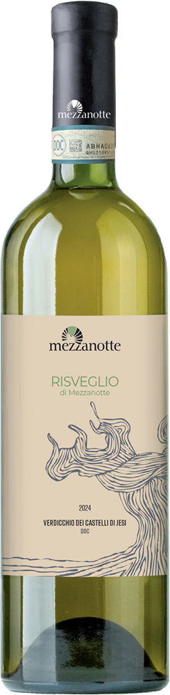 2024 RISVEGLIO - Verdicchio dei Castelli di Jesi DOC