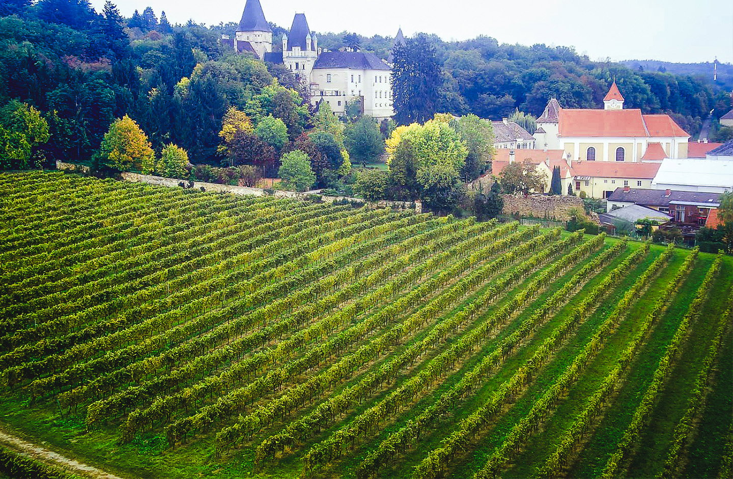 Schloss Maissau