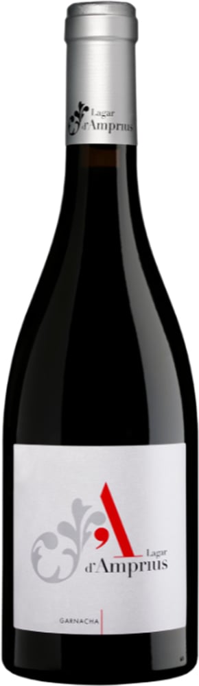2020 Garnacha Bajo Aragón VT BIO reflection