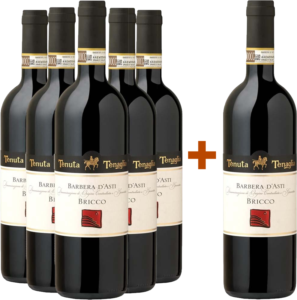 5+1 Paket Bricco Barbera d'Asti DOCG trocken
