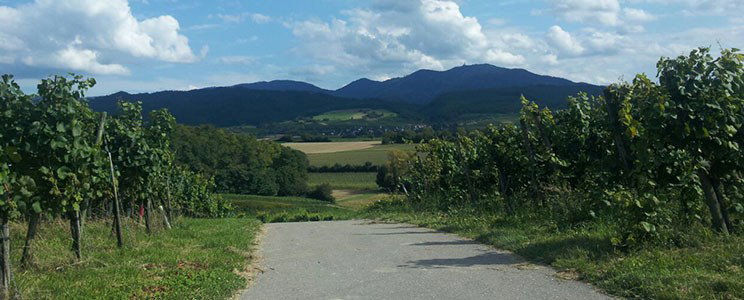Öko-Hof Ruesch