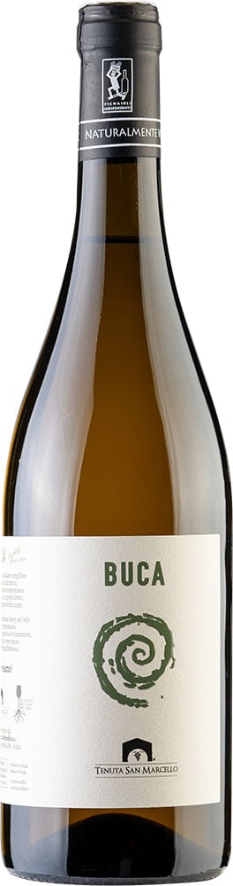 2025 Buca Verdicchio dei Castelli di Jesi Classico DOC BIO