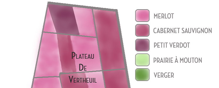 Château Vieux Landat