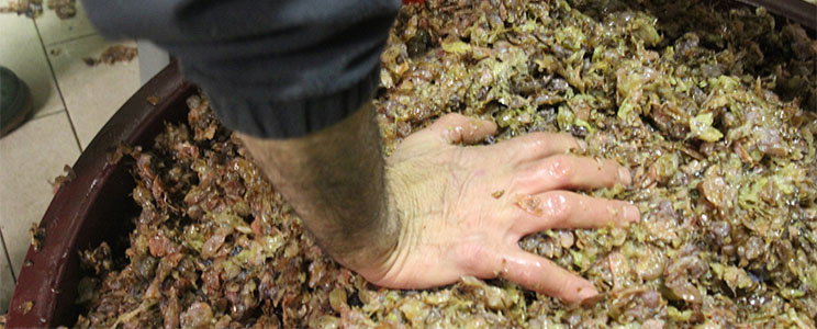 Saccomani Vini