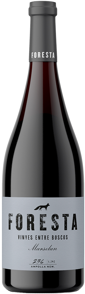 2021 Foresta Marselan BIO