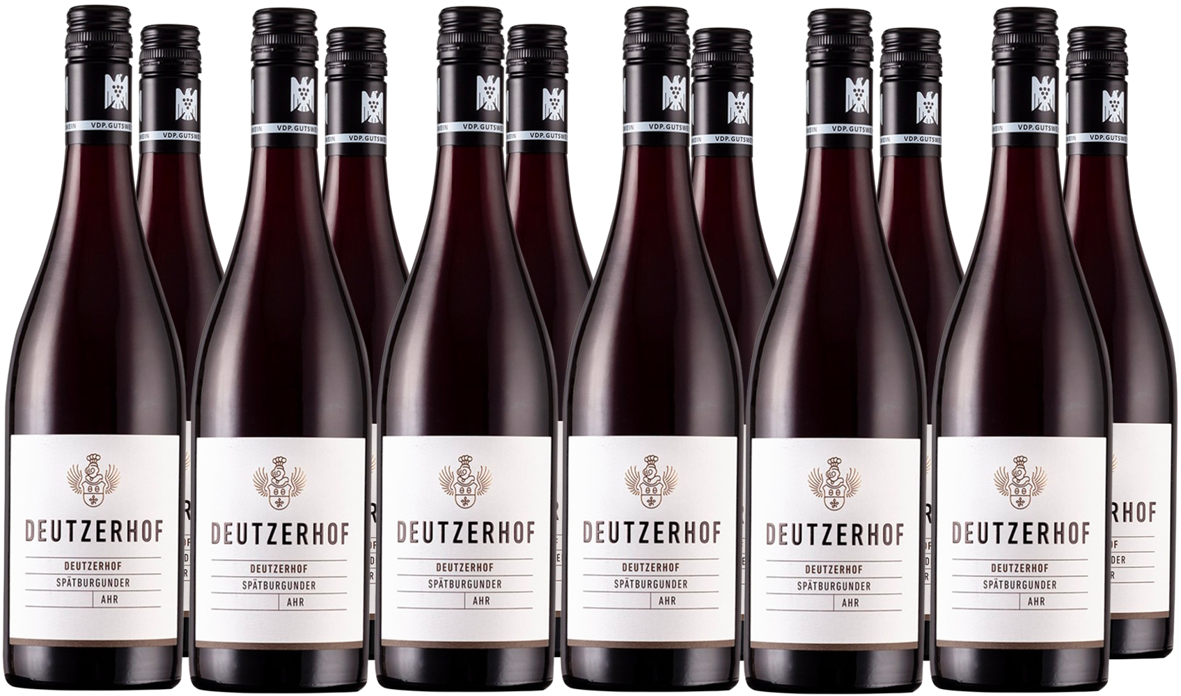Aktionspaket 2021 Spätburgunder Gutswein trocken