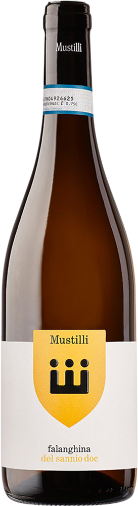 2025 Falanghina del Sannio DOC reflection
