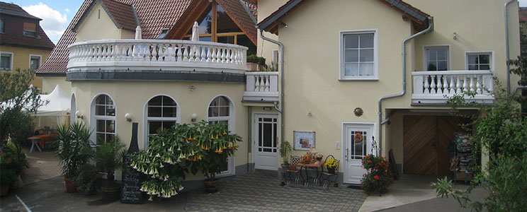 Kopp