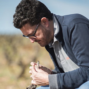 Bodegas Valderiz