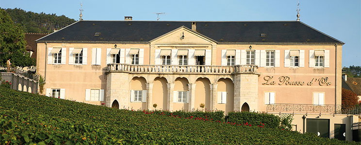 Domaine de La Pousse d´Or