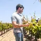Bodegas Salzillo
