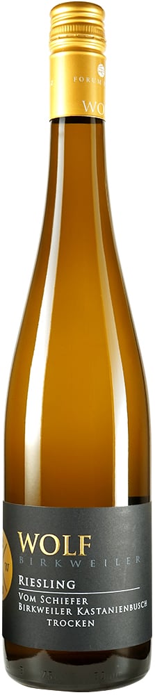 2024 Riesling Kastanienbusch vom Schiefer