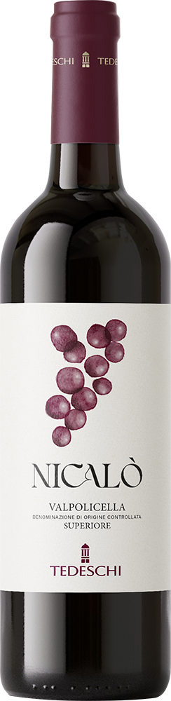 2022 Nicalo Valpolicella Superiore Venezia DOC