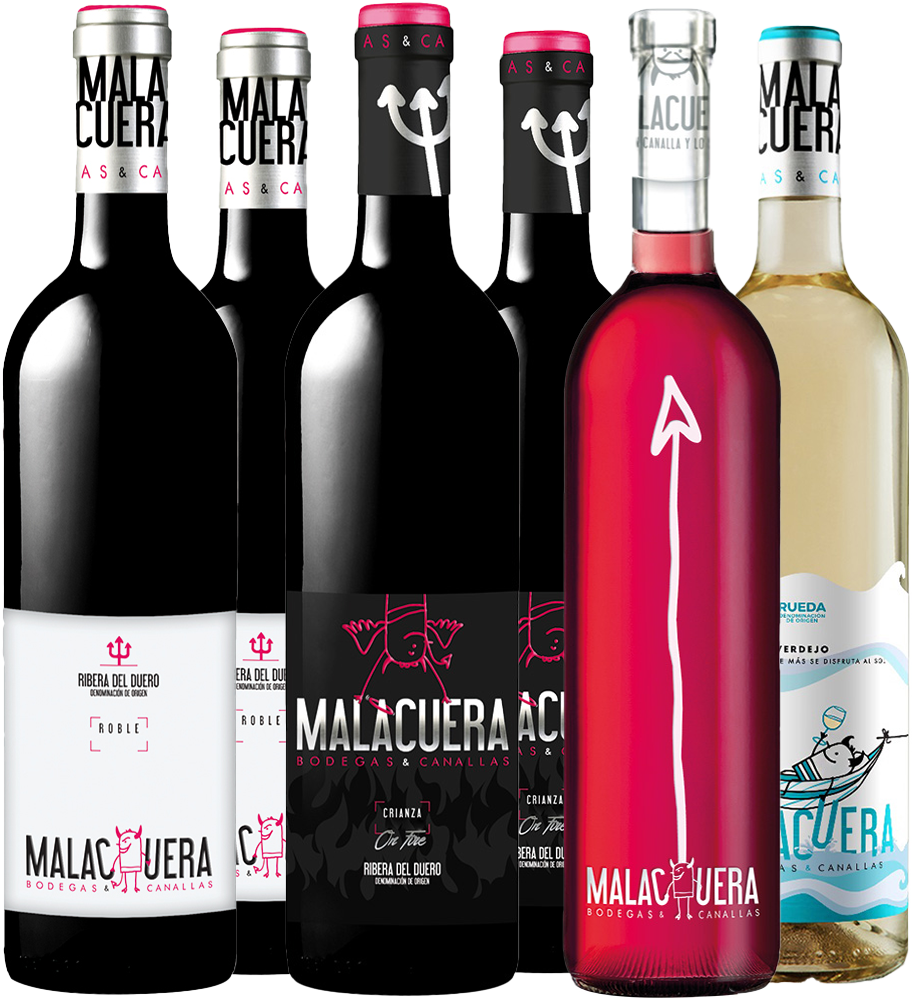 Bodegas Malacuera Kennenlern-Paket Ribera del Duero DO