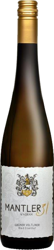 2023 Grüner Veltliner Ried Eisenhut reflection