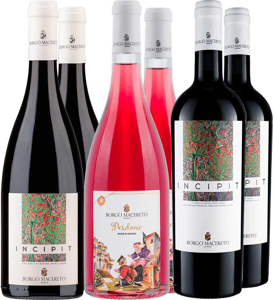 Gamay Kennenlern-Paket BIO