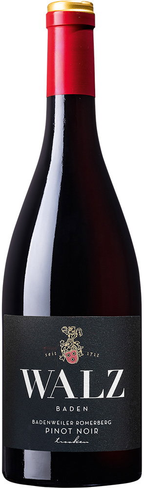 2019 Römerberg Pinot Noir BIO