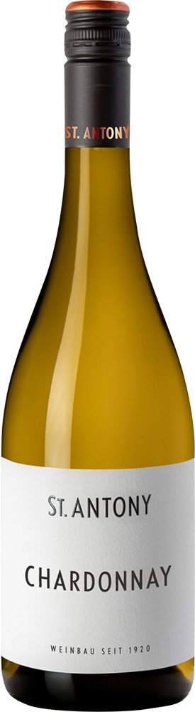 2025 Chardonnay BIO