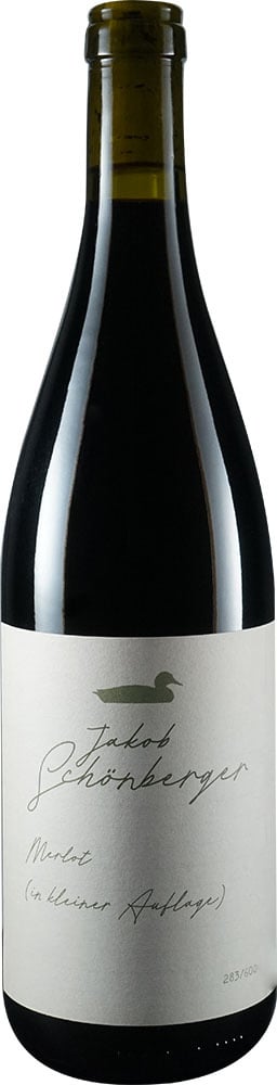 2021 Merlot BIO