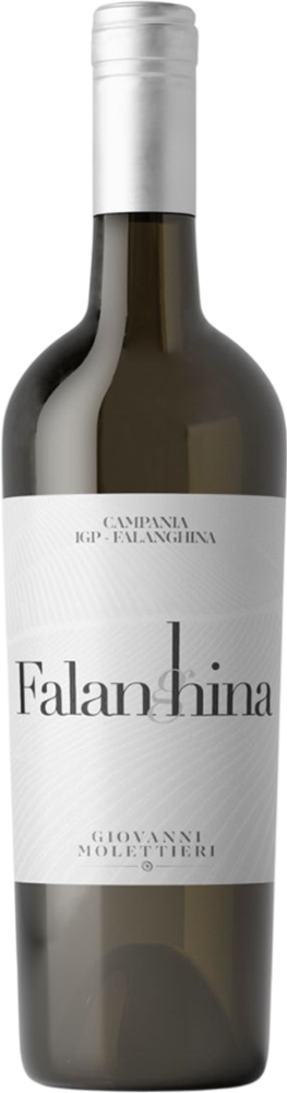 2025 Falanghina Campania IGP