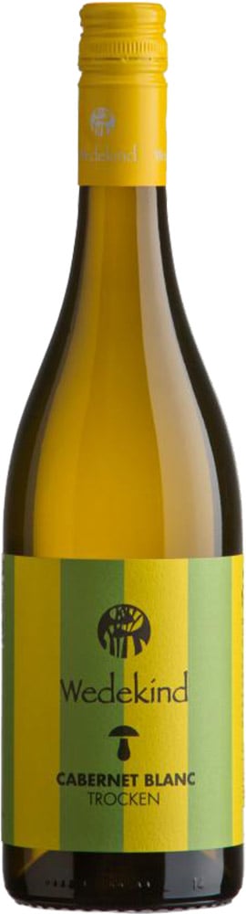 2023 Niersteiner Cabernet blanc (Piwi) BIO