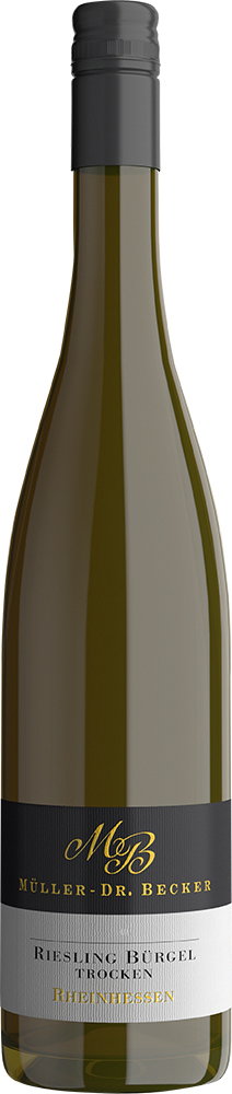 2024 Dalsheimer Riesling