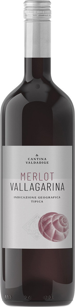 Merlot Vallagarina IGP reflection