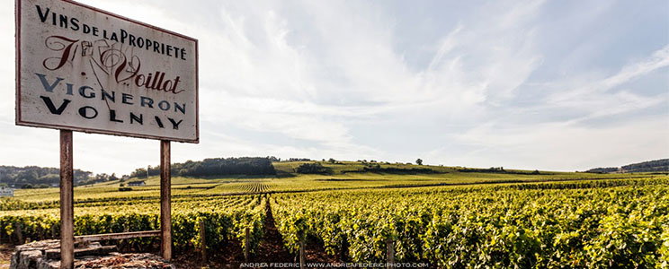 Domaine Joseph Voillot
