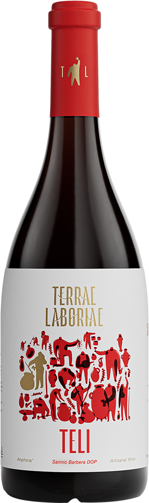 2023 TELI Barbera Sannio DOC