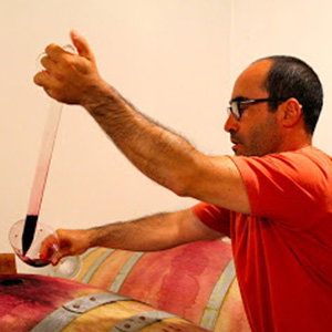 Giulio Visi