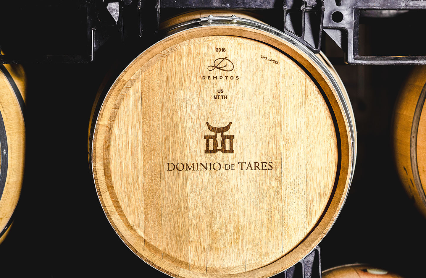 Dominio de Tares