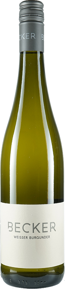 2025 Weisser Burgunder Gutswein