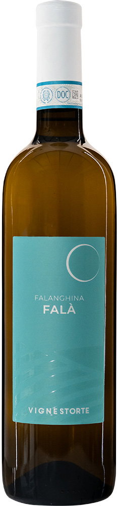 2023 Falanghina Benevento IGP reflection