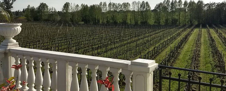 Tenuta Segattini