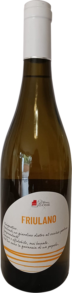 2025 Friulano Friuli DOC
