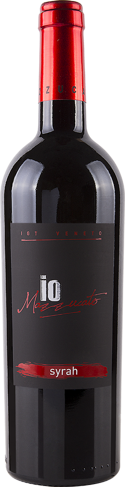 2017 Syrah Veneto IGP