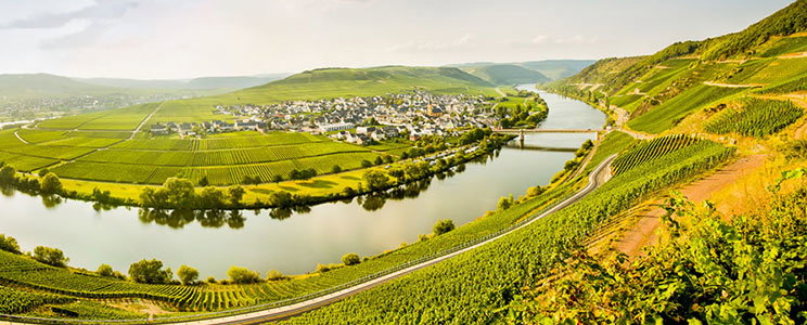 Bernhard Eifel