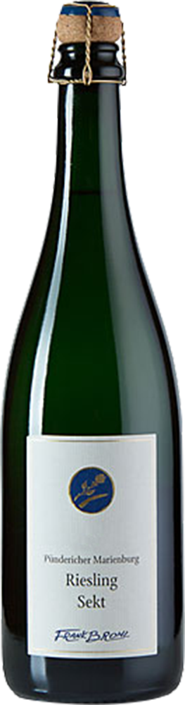 2023 Riesling Jahrgangssekt Winzersekt BIO